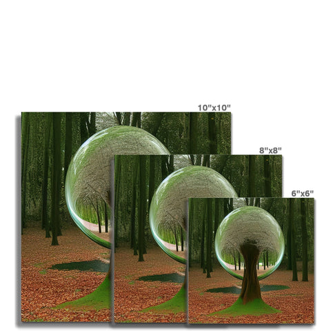 An oval painting of trees standing in the middle of a tree field with a mirror.