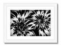 The pictures are of the flower on a glass picture frame on a black and white print