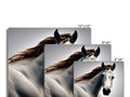 Four black and white pictures of horses on wall with a red background.