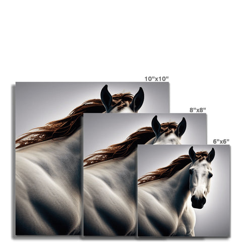 Four black and white pictures of horses on wall with a red background.