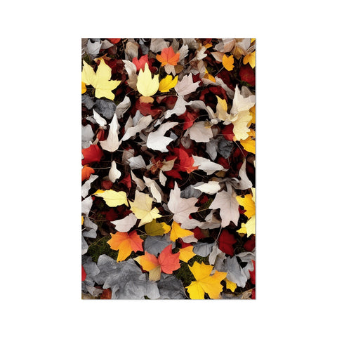 A picture of autumn leaves with autumn foliage is displayed.