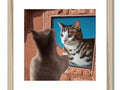 A cat is peering into a picture framed on a wall.