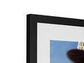 An image of an insect sitting on top of a picture frame.