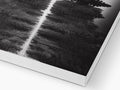 A book sitting on black and white photos of a pine tree while it covers the book