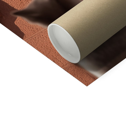 a tp roll holder on a wall that is sitting in front of brown carpeting
