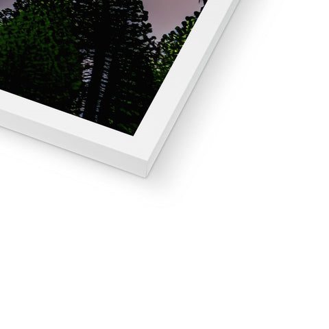 A white photo frame with a close up view of some trees as the picture sits on
