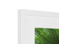 A white picture frame with a green and white picture on it