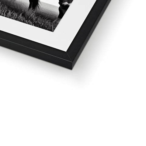 A photo of a black dog in a black and white photo frame
