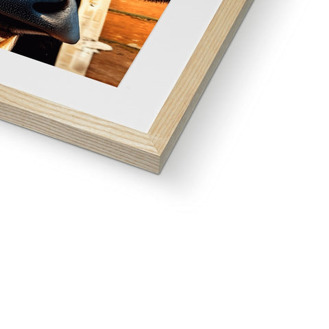 A softcover picture of a photograph is on a wooden frame.
