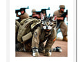 A man poses next to his cat in a picture of soldiers.