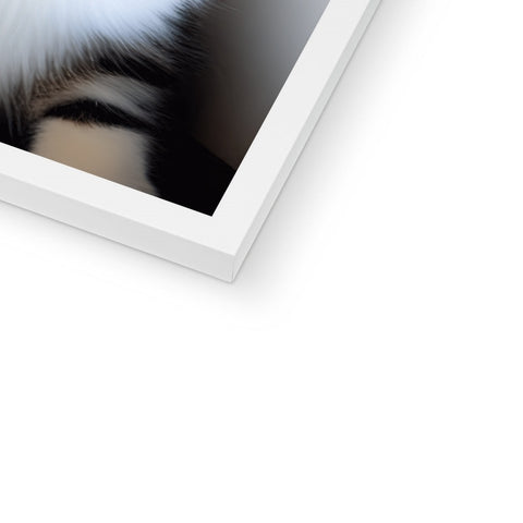 A cat peeks out while a photograph of a white cat exists on an iPad.