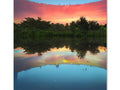 A beautiful sunset lit by the water in a mirror on a wooded area surrounded by
