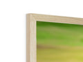 A wooden frame that is white with a green background.