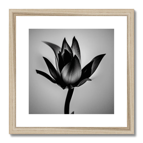 A photo of a black and white image of a purple flower in a frame on a