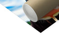 A brown toilet roll and roll of white tp paper are shown on the toilet.