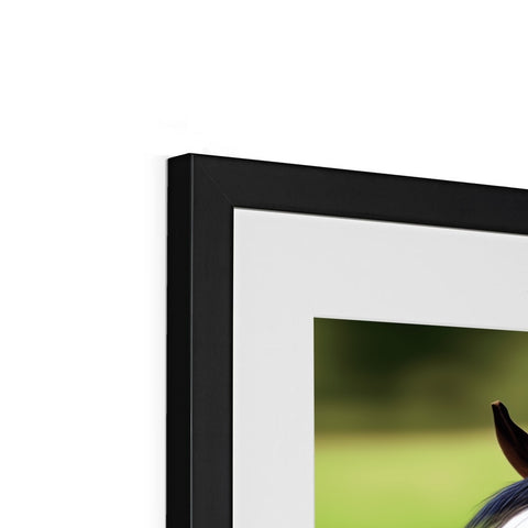 A picture of a horse peering into a picture frame