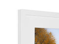 A picture frame with a white and blue picture in view of a tree.