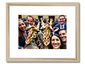 a framed photo showing a herd of giraffes standing next to a tree in the