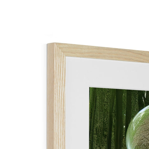 A frame with a picture of a mirror and a green object on it.