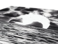 Black and white picture of beach with white background and wave in front of it.