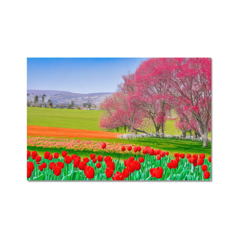 A floral floral art print of tulips is on a white board topped with red,