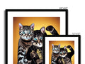 Several photos of cats sitting in a picture frame with black stripes and white faces.
