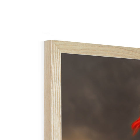 A photo of a red bird perched on a piece of wood next to a picture frame