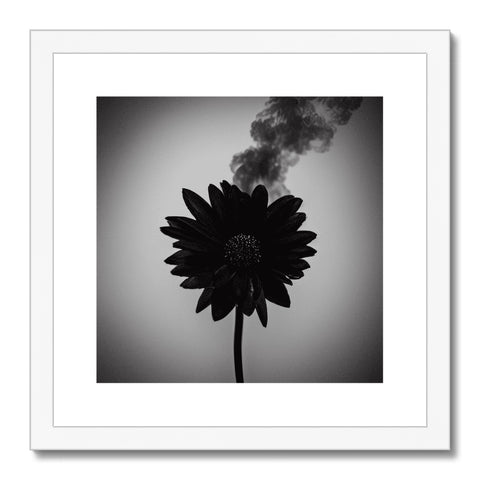 Smoke from a smokestack, a car and a picture of flowers.