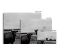 Two photographs of a black and white buffalo that are facing the camera.
