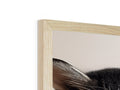 A cat stands on top of a photo in a wooden frame.