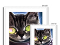 A cat is sitting on top of a frame looking at a picture of two images from