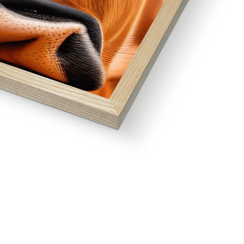 A picture holding a hardcover book, close up of an animal with a picture on