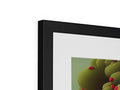 A frame which that has multiple images on it that are framed in black with red and