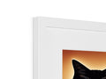 a framed picture of a cat in a white background in a frame