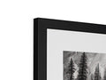 A black and white picture frame surrounded by a photo of different trees inside a wall.