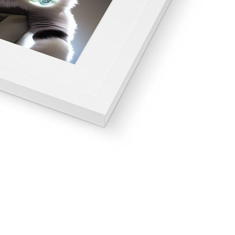 A white cat standing on both sides of a picture frame looking into a photo.
