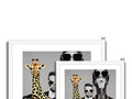 A three giraffe standing looking at a photo frame with a giraffe and people on