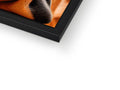 A picture frame filled with a close up of a tortoise shell.