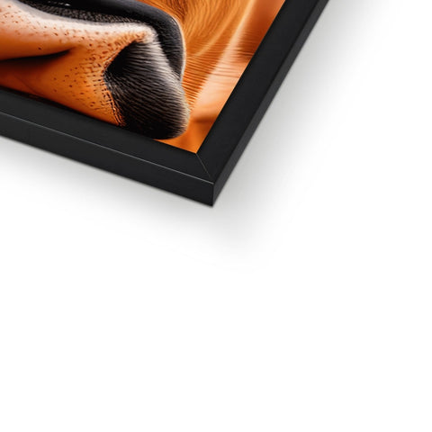A picture frame filled with a close up of a tortoise shell.