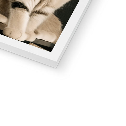 A cat is hiding his head in a photo picture card on the bottom of an iPad