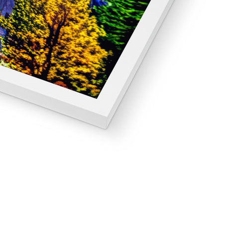 A picture frame has a picture of a large white pine tree in its background.