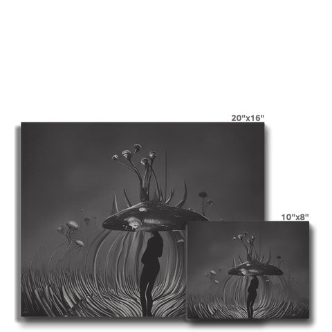 Three large grasses sprays in a bowl next to a black and white picture.