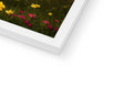 there is another picture of a flowerbed in a white photo frame