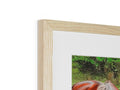 A photo of a horse on a picture frame of a forest.