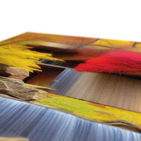 A picture of colorful wood panels next to the desert water.