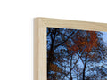 A picture frame with a picture on top of it in a wood background.