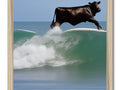 A brown cow riding a board on the surf waves.