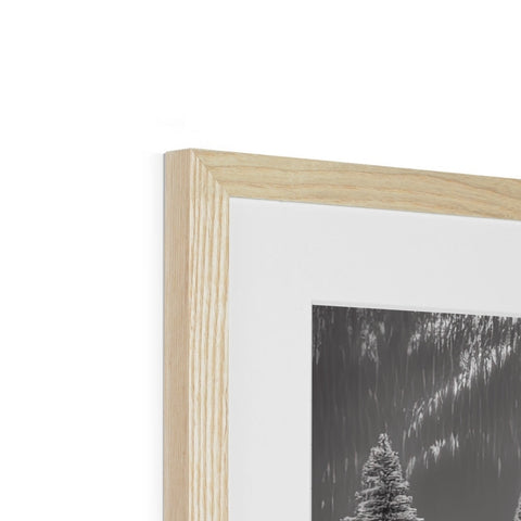 A wooden picture frame with snow and pine trees sitting in front of it.