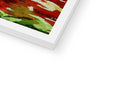 a picture of a tomato slice with an art print on a white border and a knife