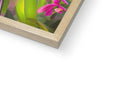 A photo with wood frames on it in a box, topped with two flowers
